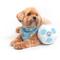 Show in main carousel: Floofball Manchewster City Plush Soccer Ball Dog Toy, Blue, 5-in slide 3 of 4