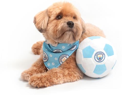 Show full view: Floofball Manchewster City Plush Soccer Ball Dog Toy, Blue, 5-in slide 3 of 4