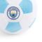 Show in main carousel: Floofball Manchewster City Plush Soccer Ball Dog Toy, Blue, 5-in slide 2 of 4