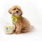 Show in main carousel: Floofball Barkzil Plush Soccer Ball Dog Toy, Yellow, 5-in slide 3 of 4