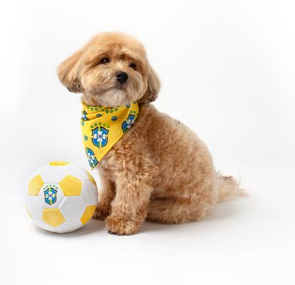 Show full view: Floofball Barkzil Plush Soccer Ball Dog Toy, Yellow, 5-in slide 3 of 4