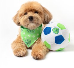 Floofball Seattle Hounders Plush Soccer Ball Dog Toy, Green, 5-in slide 2 of 4