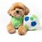 Show in main carousel: Floofball Seattle Hounders Plush Soccer Ball Dog Toy, Green, 5-in slide 3 of 4