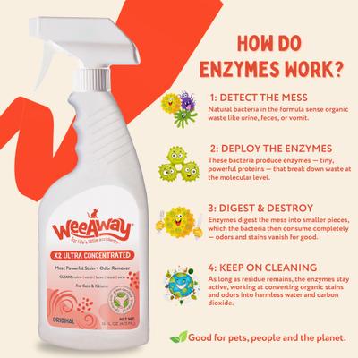 Show full view: Wee Away X2 Concentrated Urine Stain & Odor Remover Citrus Scented Bio-Enzymatic Cleaner for Cats, 16-fl oz spray slide 6 of 9
