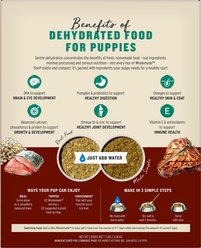 The Honest Kitchen Human Grade Wholemade Whole Grain Beef & Salmon Dehydrated Puppy Dog Food, 7-lb bag slide 2 of 8