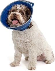 CP Basics Caring Cone E-Collar Dog Collar, Small slide 1 of 6