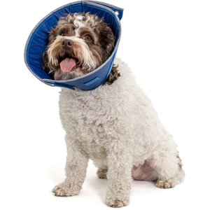 CP Basics Caring Cone E-Collar Dog Collar, Small