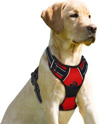 BARKBAY Front Clip Reflective No Pull Dog Harness, Red, Large: 24.5 to 32.5-in chest