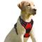 Show in main carousel: BARKBAY Front Clip Reflective No Pull Dog Harness, Red, X-Large: 30 to 38-in chest slide 1 of 12