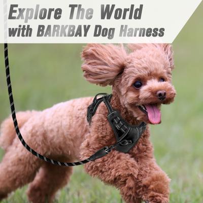 Show full view: BARKBAY Front Clip Reflective No Pull Dog Harness, Black, X-Small: 15.5 to 19.5-in chest slide 9 of 12