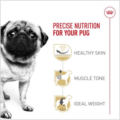 Show full view: Royal Canin Breed Health Nutrition Pug Adult Dry Dog Food, 10-lb bag slide 4 of 13