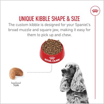 Show full view: Royal Canin Breed Health Nutrition Cocker Spaniel Adult Dry Dog Food, 6-lb bag slide 5 of 13