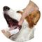 Show in main carousel: Pet Republique Soft Fabric Finger Toothbrush for Dogs, Cats, & Small Pets, 6 count slide 5 of 7