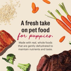 The Honest Kitchen Human Grade Wholemade Whole Grain Beef & Salmon Dehydrated Puppy Dog Food, 7-lb bag