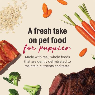 Show full view: The Honest Kitchen Human Grade Wholemade Whole Grain Beef & Salmon Dehydrated Puppy Dog Food, 2-lb bag slide 6 of 10