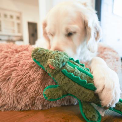 Show full view: SteelDog USA Ruffian Safari Gator Plush Dog Toy slide 4 of 6