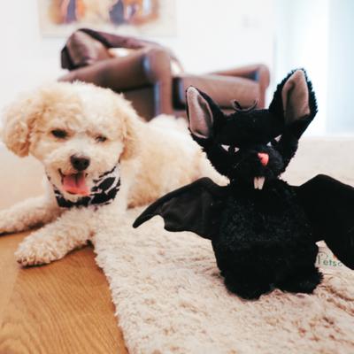 Show full view: SteelDog USA Creepy Craller Bat Crinkle Plush Dog Toy slide 2 of 5