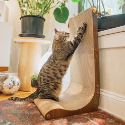 Necoichi Premium Comfort Cat Scratcher Wall, Dark Cherry/Brown, Regular