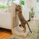 Necoichi Premium Comfort Cat Scratcher Wall, Oak/Brown, Large