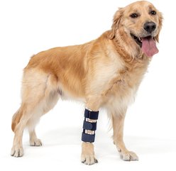 Balto Bone Dog Fracture Brace, Large