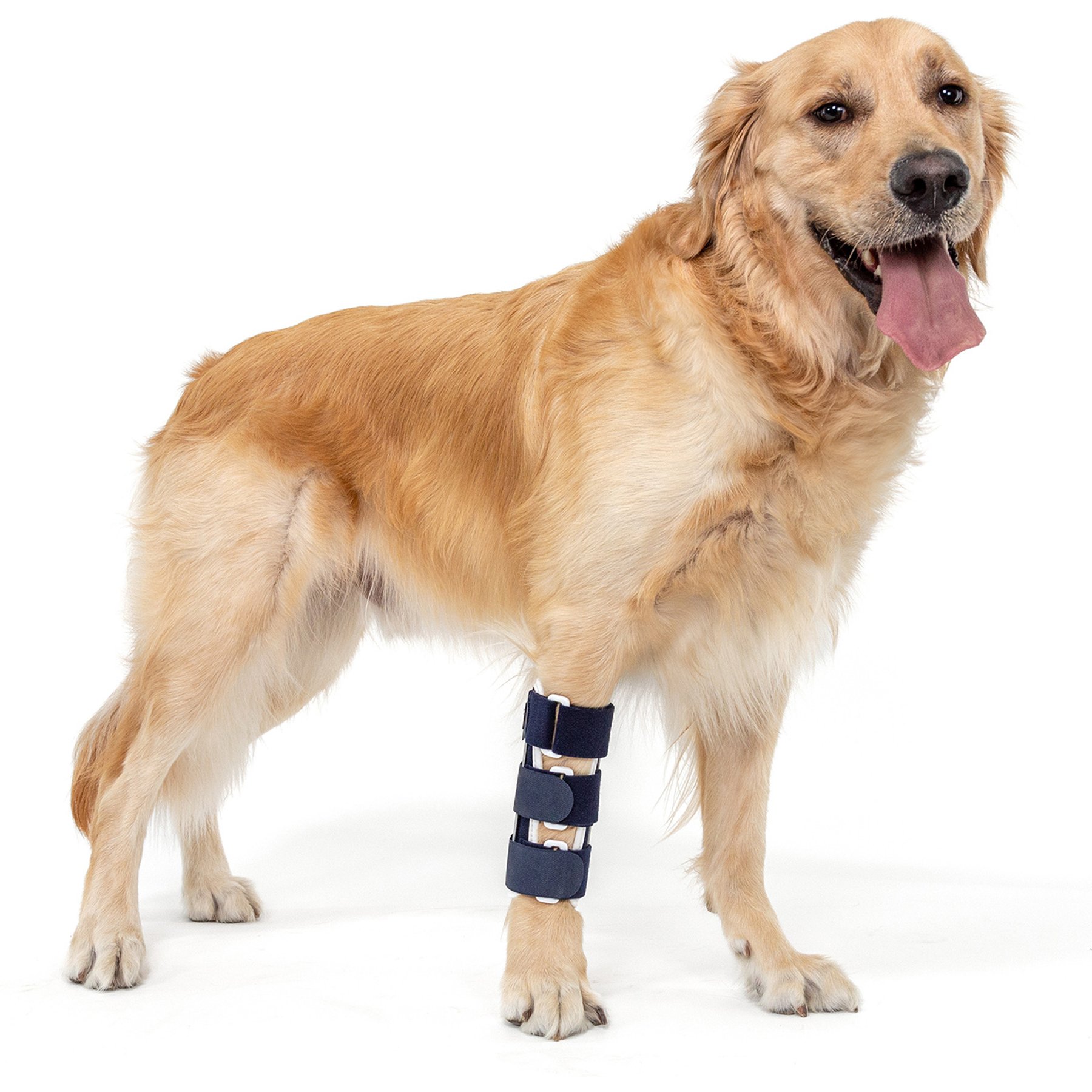 Balto Bone Dog Fracture Brace, X-Large