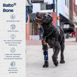 Balto Bone Dog Fracture Brace, Large slide 2 of 7