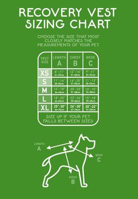 Show full view: CP Basics Calming Recovery Dog Vest, X-Small slide 7 of 9