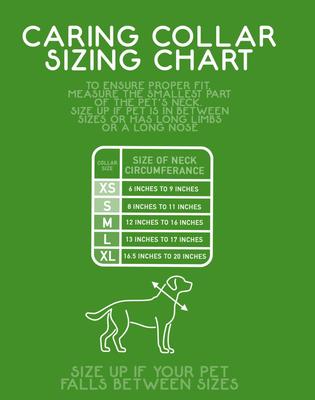 Show full view: CP Basics Caring Cone E-Collar Dog Collar, Small slide 7 of 7