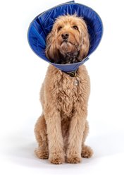 CP Basics Caring Cone E-Collar Dog Collar, Large