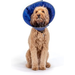 CP Basics Caring Cone E-Collar Dog Collar, Large