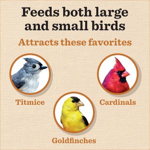 Dr. Pol Cedar Gazebo Bird Feeder