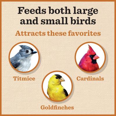 Show full view: Dr. Pol Cedar Gazebo Bird Feeder slide 7 of 9