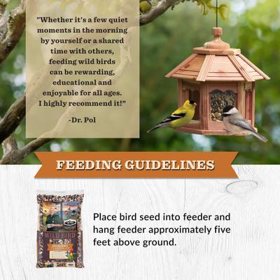 Show full view: Dr. Pol Healthy Songbird Blend Wild Bird Food, 20-lb bag slide 6 of 10