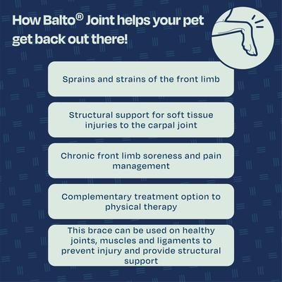 Show full view: Balto Joint Carpal Dog Compression Band, Large slide 7 of 9