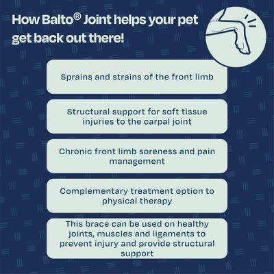 Show full view: Balto Joint Carpal Dog Compression Band, X-Large slide 7 of 9