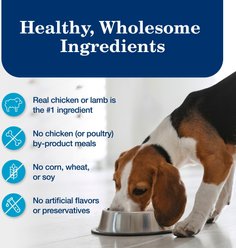 Blue Buffalo Homestyle Recipe Chicken & Turkey Variety Pack Wet Dog Food, 12.5-oz can, 6 count slide 2 of 9