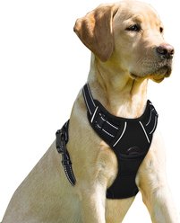 BARKBAY Front Clip Reflective No Pull Dog Harness, Black, Large: 24.5 to 32.5-in chest