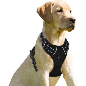 BARKBAY Front Clip Reflective No Pull Dog Harness, Black, Large: 24.5 to 32.5-in chest
