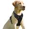 Show in main carousel: BARKBAY Front Clip Reflective No Pull Dog Harness, Black, X-Small: 15.5 to 19.5-in chest slide 1 of 12