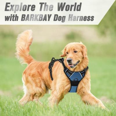 Show full view: BARKBAY Front Clip Reflective No Pull Dog Harness, Navy, Large: 24.5 to 32.5-in chest slide 9 of 12