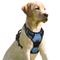 Show in main carousel: BARKBAY Front Clip Reflective No Pull Dog Harness, Navy, Large: 24.5 to 32.5-in chest slide 1 of 12