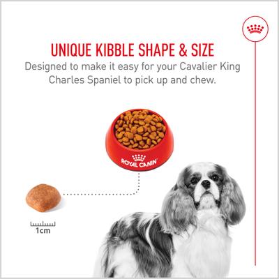 Show full view: Royal Canin Breed Health Nutrition Cavalier King Charles Adult Dry Dog Food, 10-lb bag slide 5 of 12