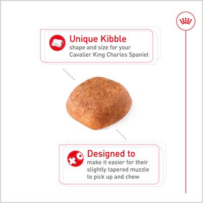 Show full view: Royal Canin Breed Health Nutrition Cavalier King Charles Adult Dry Dog Food, 10-lb bag slide 3 of 12