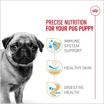 Show full view: Royal Canin Breed Health Nutrition Pug Puppy Dry Dog Food, 2.5-lb bag slide 5 of 13
