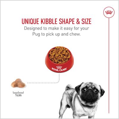 Show full view: Royal Canin Breed Health Nutrition Pug Adult Dry Dog Food, 10-lb bag slide 5 of 13