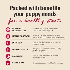 The Honest Kitchen Human Grade Wholemade Whole Grain Beef & Salmon Dehydrated Puppy Dog Food, 7-lb bag