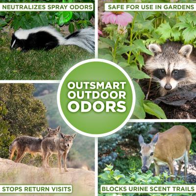 Show full view: POOPH Lawn, Garden & Turf Cat & Dog Odor & Stain Eliminator, 20-fl oz bottle slide 3 of 10