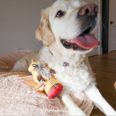 Show full view: SteelDog USA Ruffian Prairie Boar Squeaky Plush Dog Toy slide 5 of 6