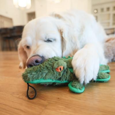 Show full view: SteelDog USA Ruffian Safari Gator Plush Dog Toy slide 2 of 6