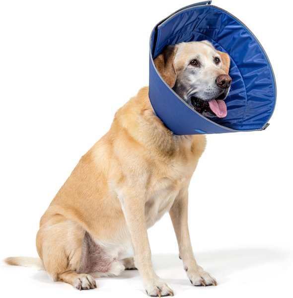 Show full view: CP Basics Caring Cone E-Collar Dog Collar, X-Large slide 1 of 6